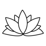 květ lotosu význam
