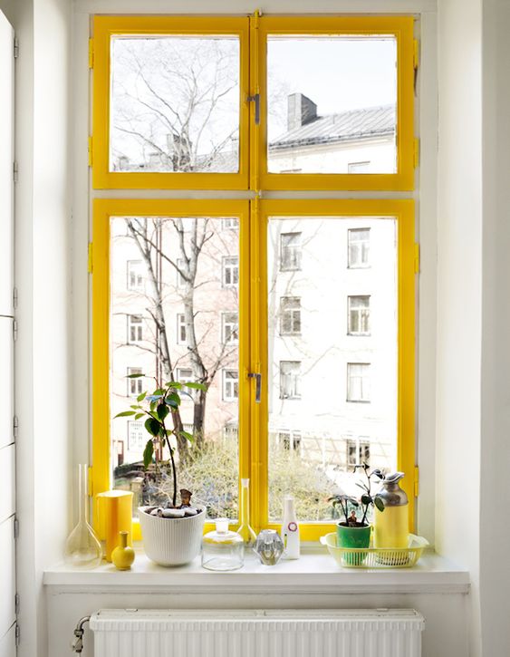 žluté okenice